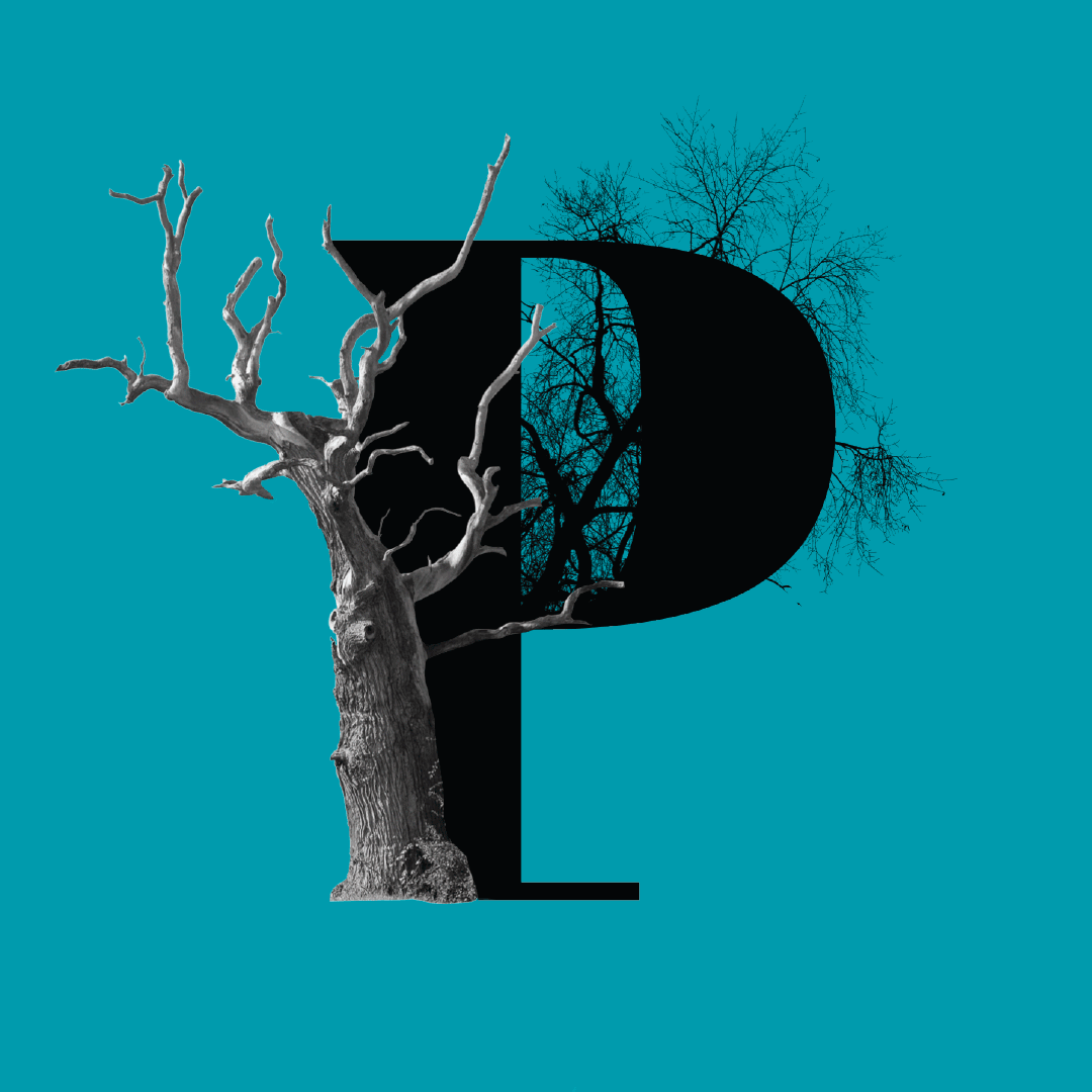 pomario.copia