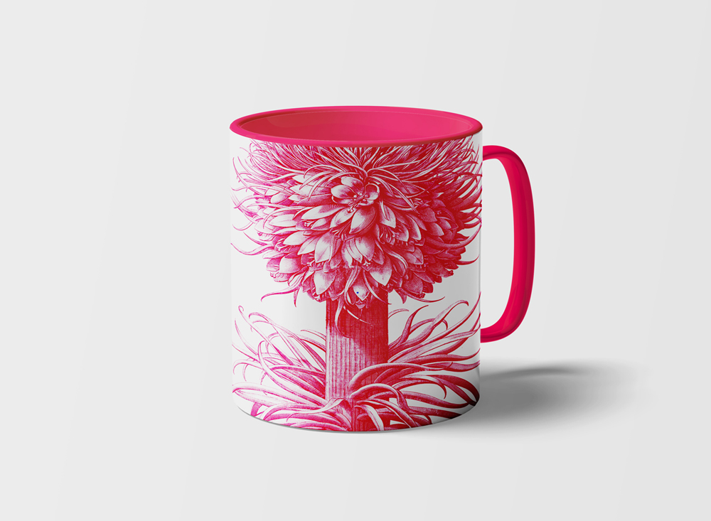 tazza